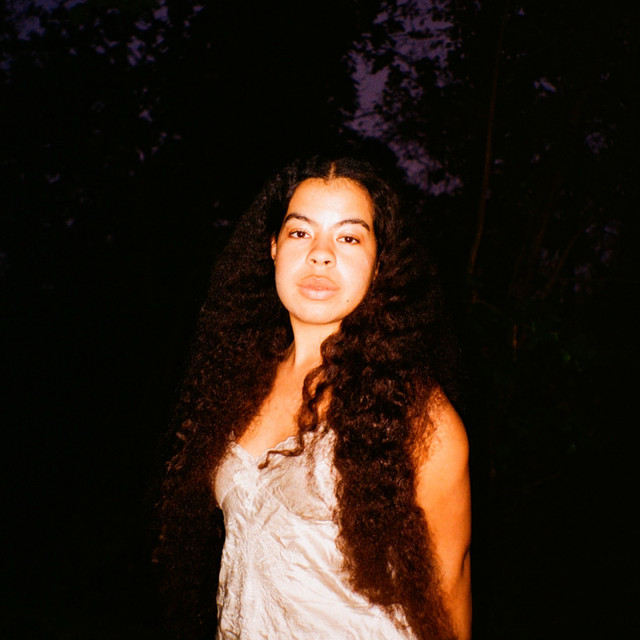 afromerm