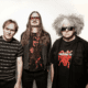 Melvins