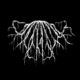 Underdark