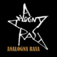 Analogna rasa
